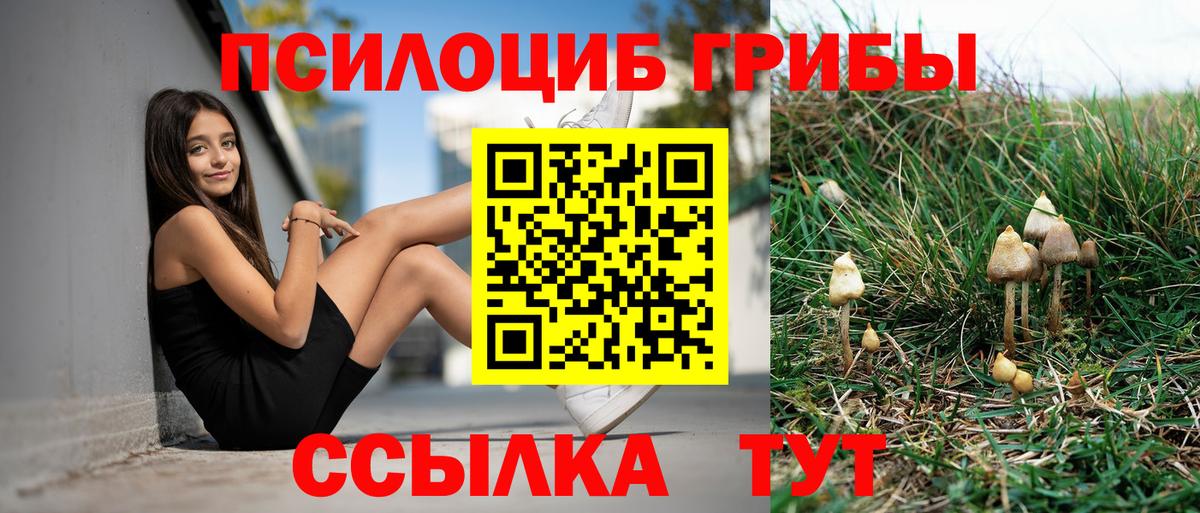 Псилоцибиновые грибы GOLDEN TEACHER Богородск