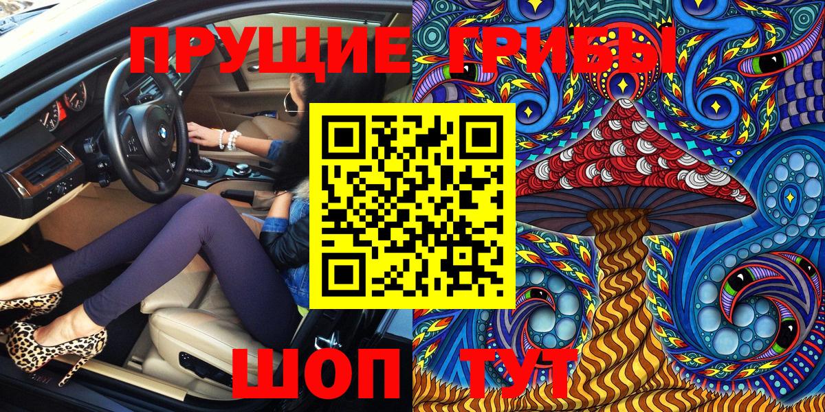 где купить наркоту  Псилоцибиновые грибы MAGIC MUSHROOMS  Вход с VPN  Богородск 